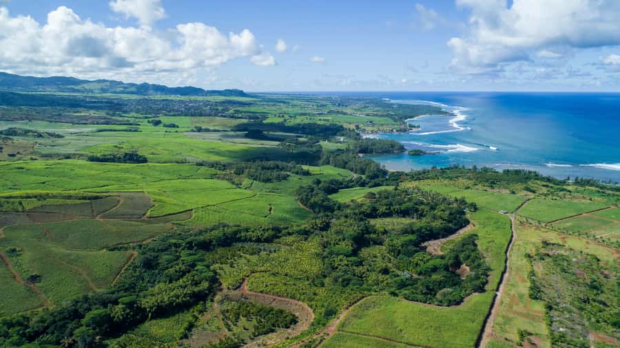Mauritius: Bel Ombre Nature Reserve Quad Bike Tour - Key points to know before you book