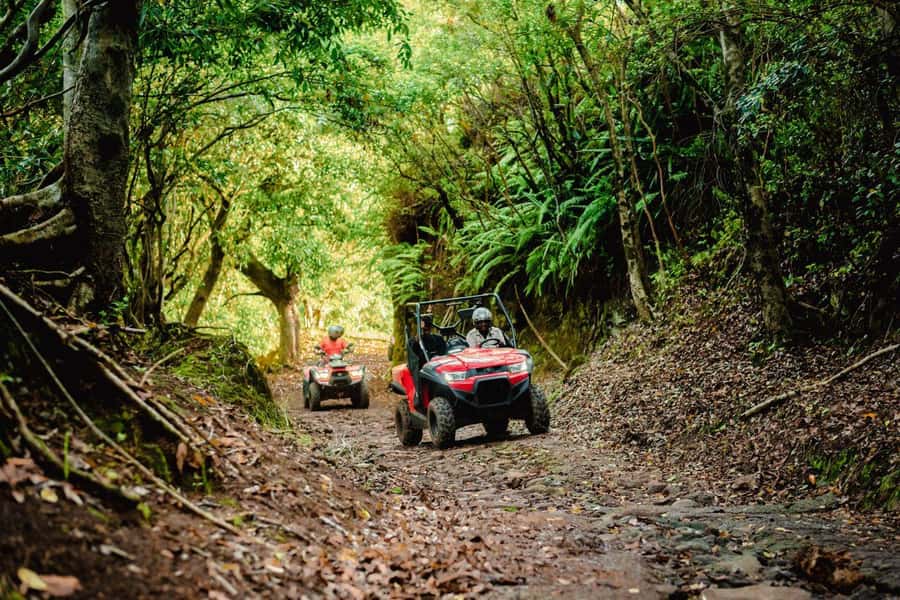 Mauritius: Bel Ombre Nature Reserve Quad Bike Tour - What the two hours feel like