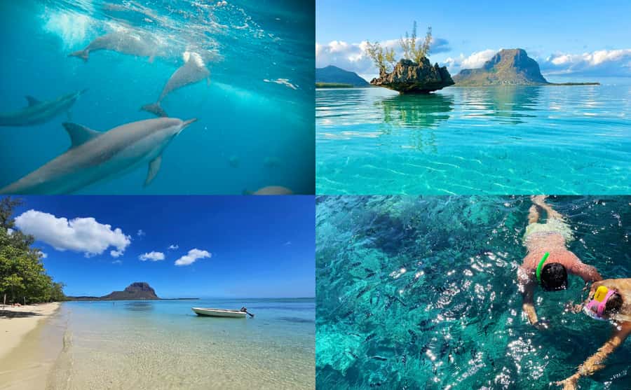 Mauritius: Benitier Island - Swim Dolphins - Speedboat & BBQ - Key points before you book