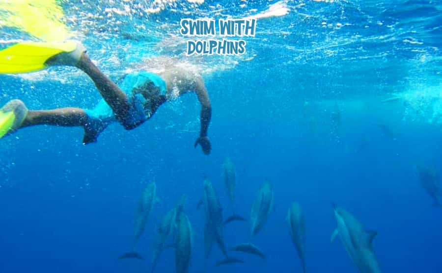 Mauritius: Benitier Island - Swim Dolphins - Speedboat & BBQ - An early start on Mauritius’s west coast