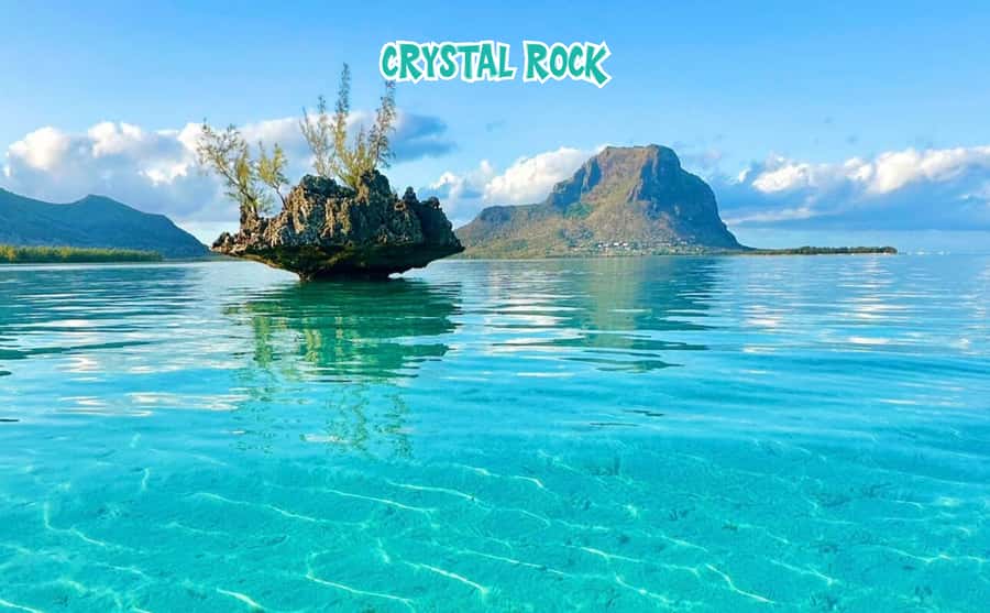 Mauritius: Benitier Island - Swim Dolphins - Speedboat & BBQ - What the three-star score tells you