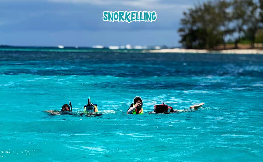 Mauritius: Benitier Island - Swim Dolphins - Speedboat & BBQ - What to pack and how to prepare