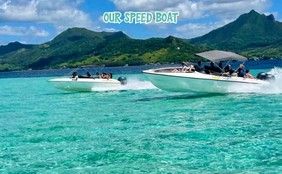 Mauritius: Benitier Island - Swim Dolphins - Speedboat & BBQ - Searching for spinner and bottlenose dolphins