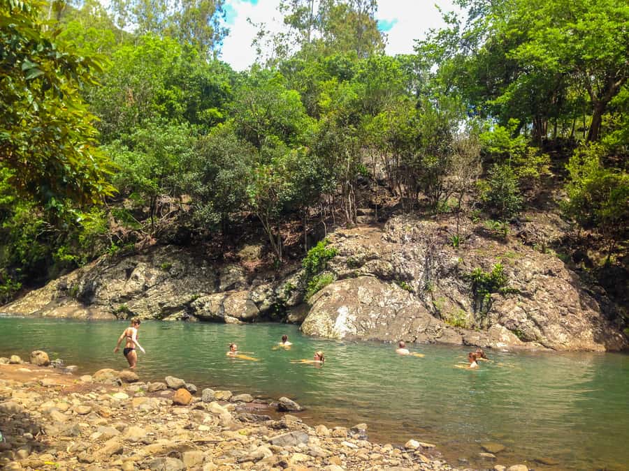 Mauritius: Black River Gorges National Park 3-Hour Hike - The final river swim