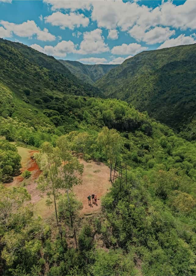 Mauritius: Black River Gorges National Park 3-Hour Hike - What the guide adds for your $64