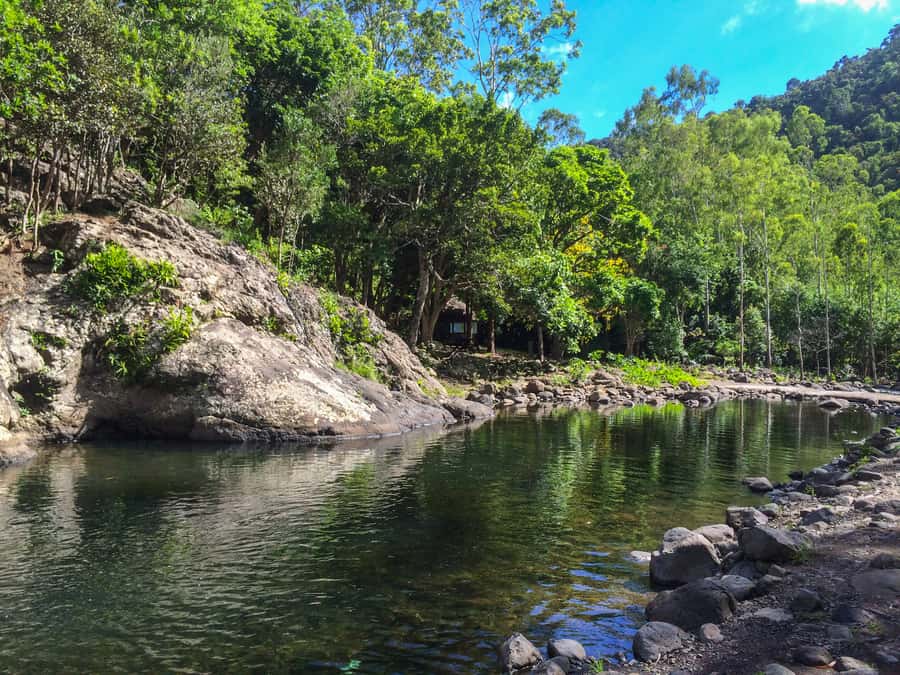 Mauritius: Black River Gorges National Park 3-Hour Hike - Weather, timing, and practical planning