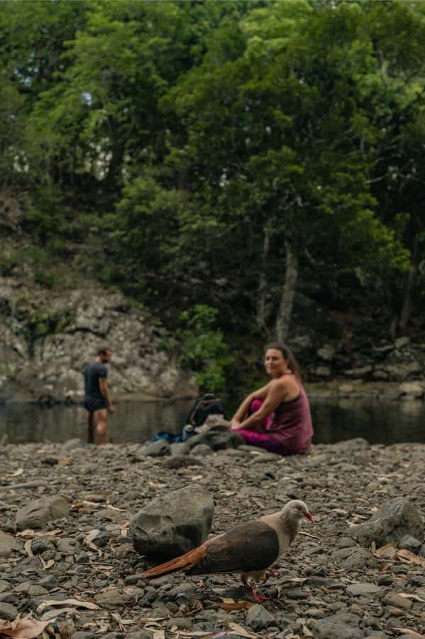 Mauritius: Black River Gorges National Park 3-Hour Hike - The guides make the biggest difference