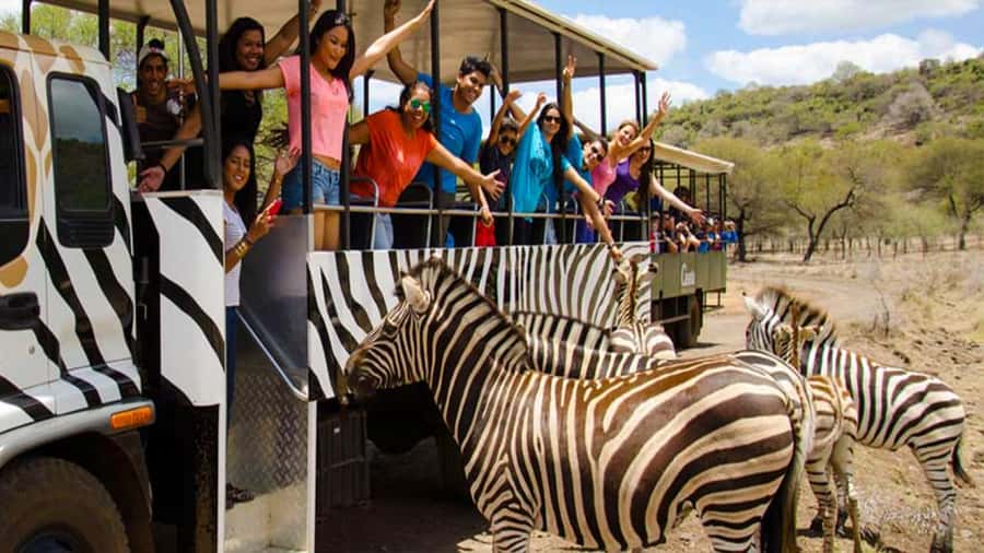 Mauritius: Casela Nature Parks Entrance Ticket with Transfer - Walking through the aviary