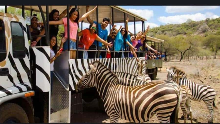 Mauritius: Casela nature parks & flic en flac beach - What the $117 price really covers