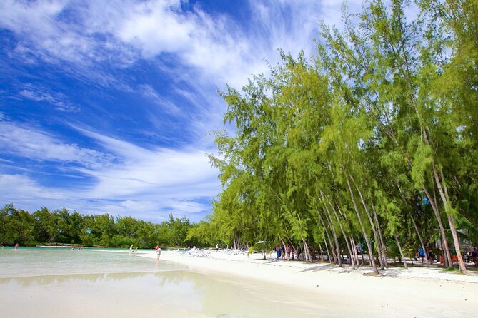 Mauritius: Catamaran Cruise to Ile Aux Cerfs with BBQ Lunch - The crew, music, and overall mood