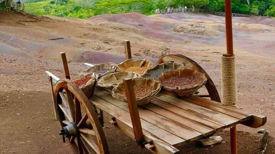 Mauritius: Chamarel 7 Colours & Waterfalls, South-West Tour - Mare aux Vacoas and the changing scenery