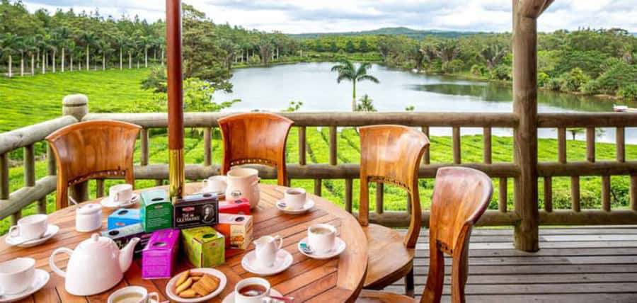 Mauritius: Crocodile Park and Tea Factory Tour with Tasting - The Tea Museum Adds Context