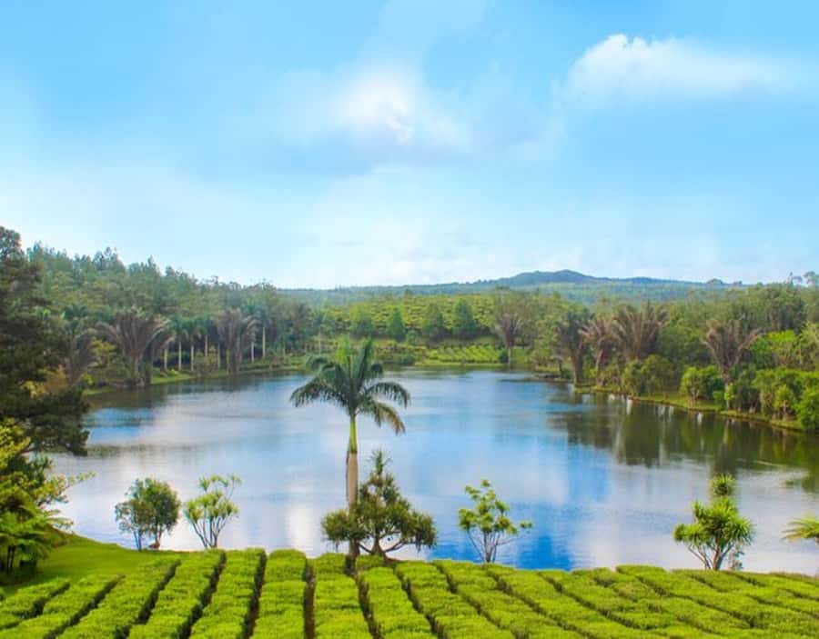 Mauritius: Customizable Private Tour by Car - Starting with hotel pickup in Mauritius