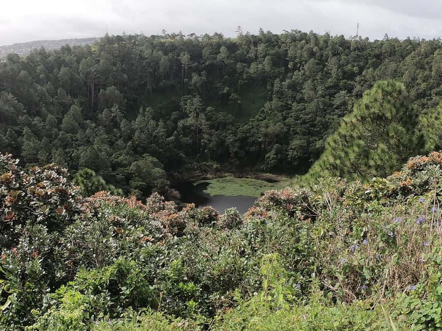 Mauritius: Dolphin Encounter, Trou aux Cerf and Grand Bassin - Snorkeling and coral gardens, time permitting