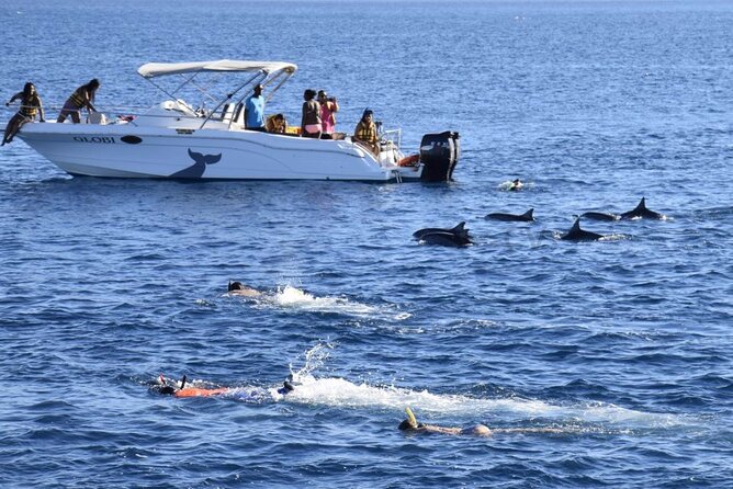 Mauritius : Dolphins Swim and Ile Aux Bénitiers with BBQ - An early start from Tamarin Public Beach