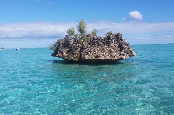 Mauritius : Dolphins Swim and Ile Aux Bénitiers with BBQ - Finding dolphins in the Black River region