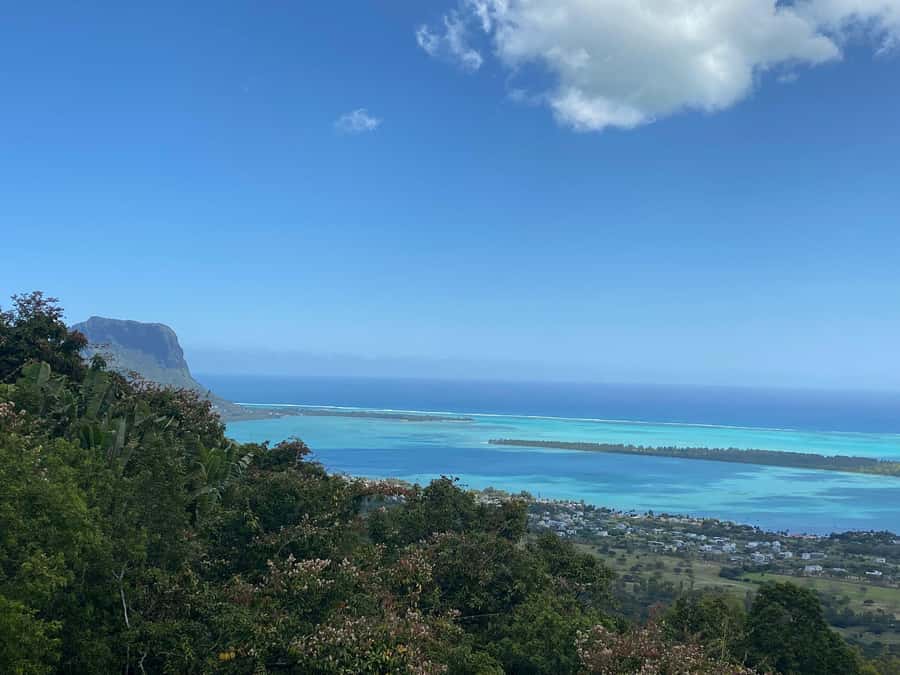 Mauritius: Dolphins watch half-day - Key points at a glance