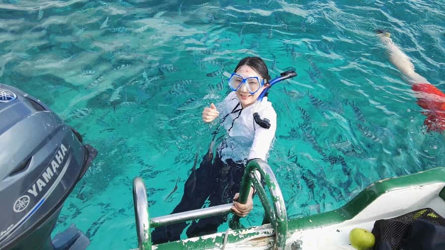 Mauritius: Dolphins watch half-day - Why this Mauritius dolphin trip catches the imagination