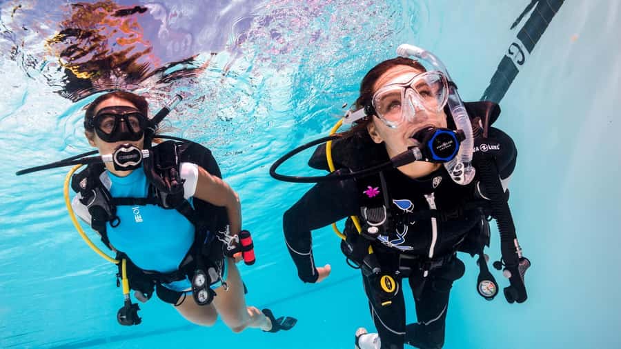 Mauritius: East Belle Mare Scuba Diving Tour - What You Actually Get for $158