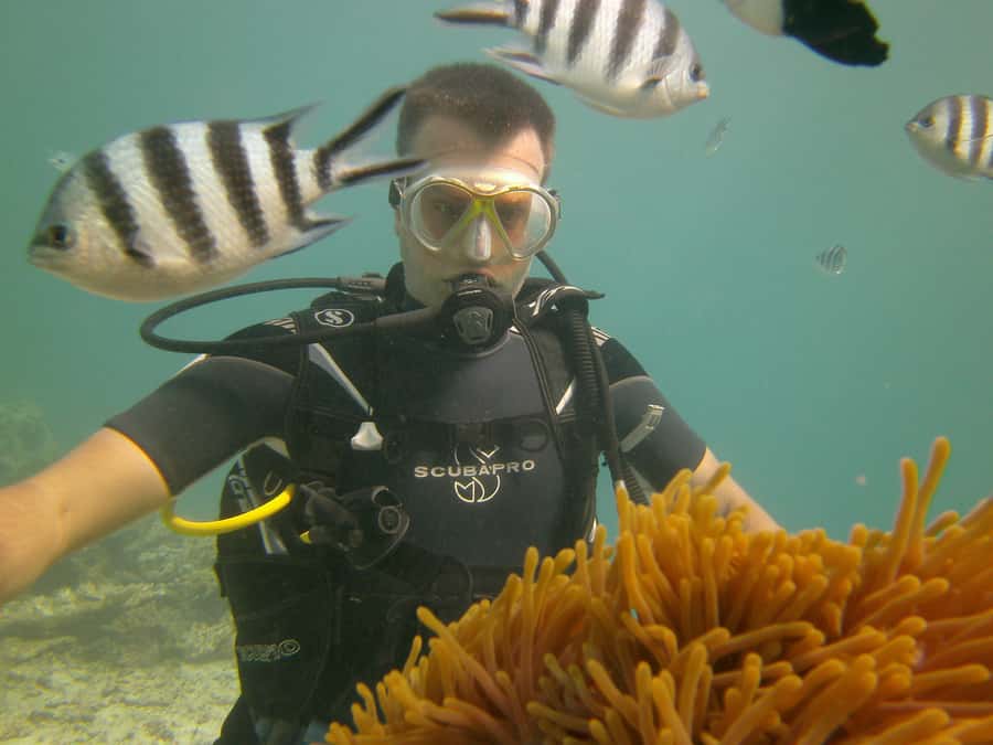 Mauritius: East Belle Mare Scuba Diving Tour - East Coast Mauritius Underwater Sites