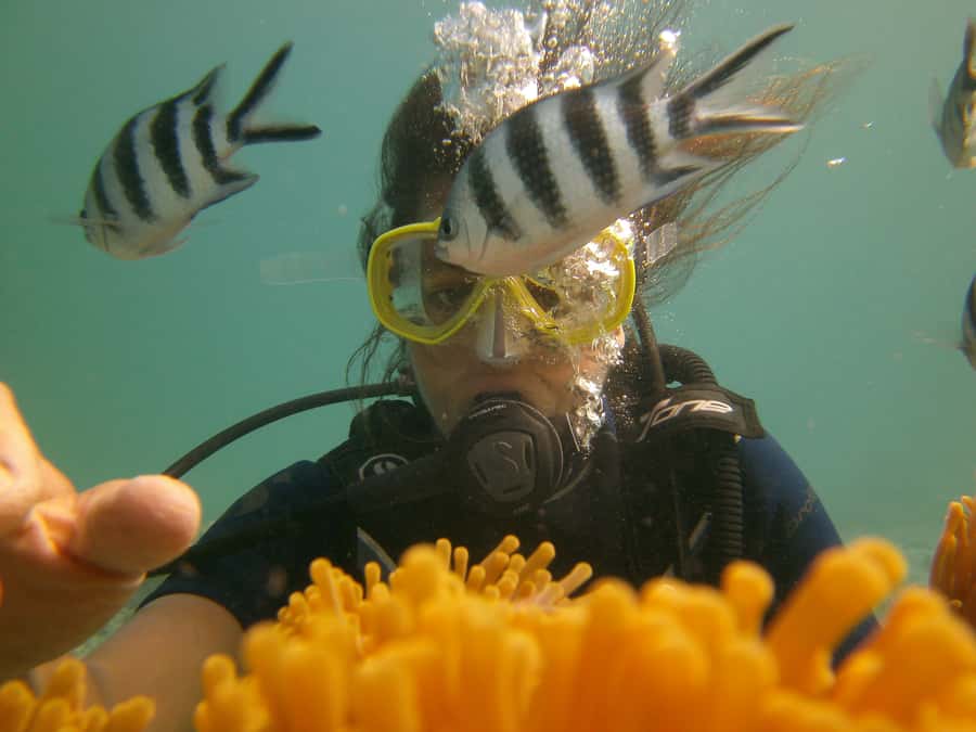 Mauritius: East Belle Mare Scuba Diving Tour - What the Water Experience Feels Like