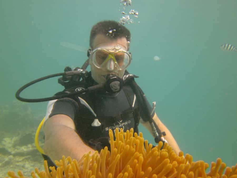 Mauritius: East Belle Mare Scuba Diving Tour - Booking, Cancellation, and Practical Checks