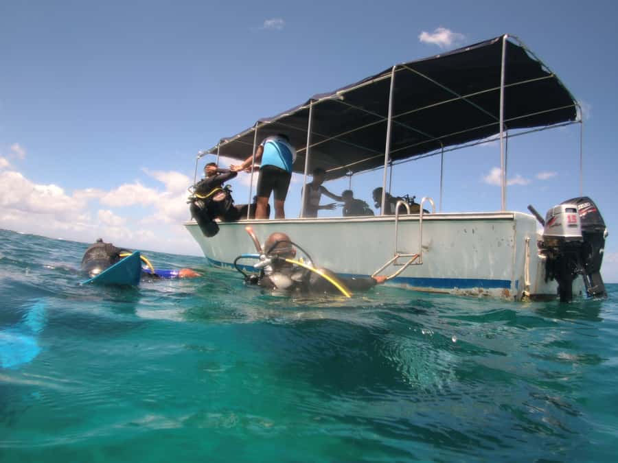 Mauritius: East Belle Mare Scuba Diving Tour - Should You Book the Belle Mare Scuba Tour?