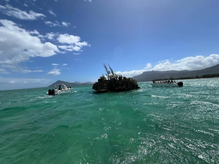 Mauritius Eco Whales Quest, 3-4 hours Expedition - Small groups, local guides, and the human side