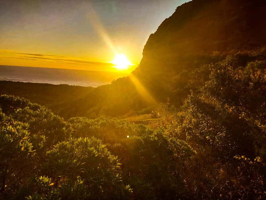 Mauritius: Exclusive Le Morne Sunset Hike & Aperitivo - Key points to know before you book