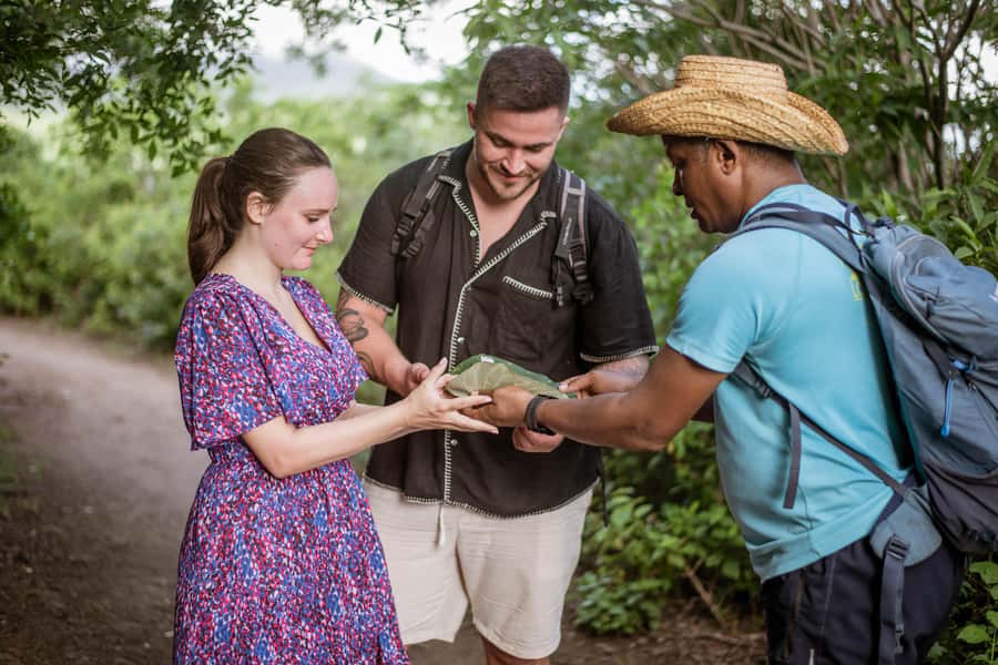 Mauritius: Exclusive Le Morne Sunset Hike & Aperitivo - What the $141 price really buys you
