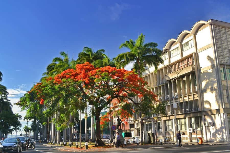Mauritius: Exclusive North Tour with Pickup - Why this private north tour works well