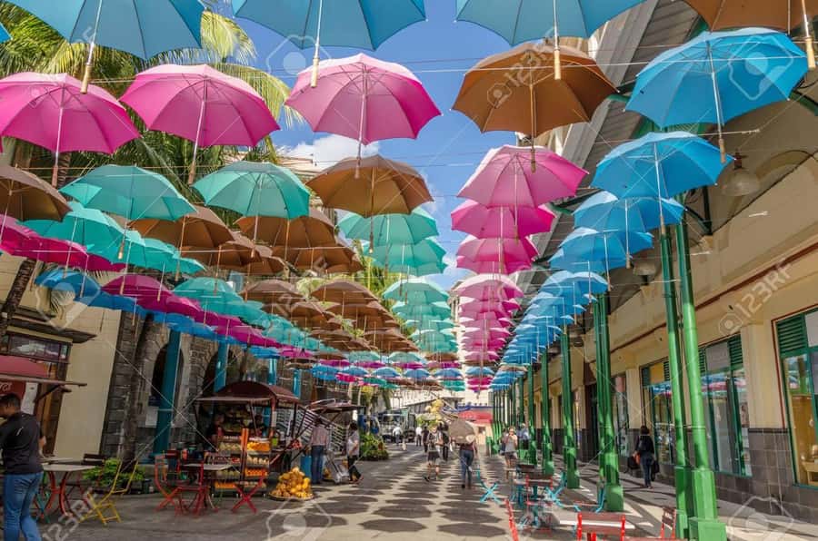Mauritius: Exclusive North Tour with Pickup - What the $90 group price really buys