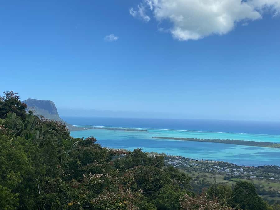 Mauritius: Exclusive South West Tour - Alexandra Falls and Black River Gorges bring the wild scenery