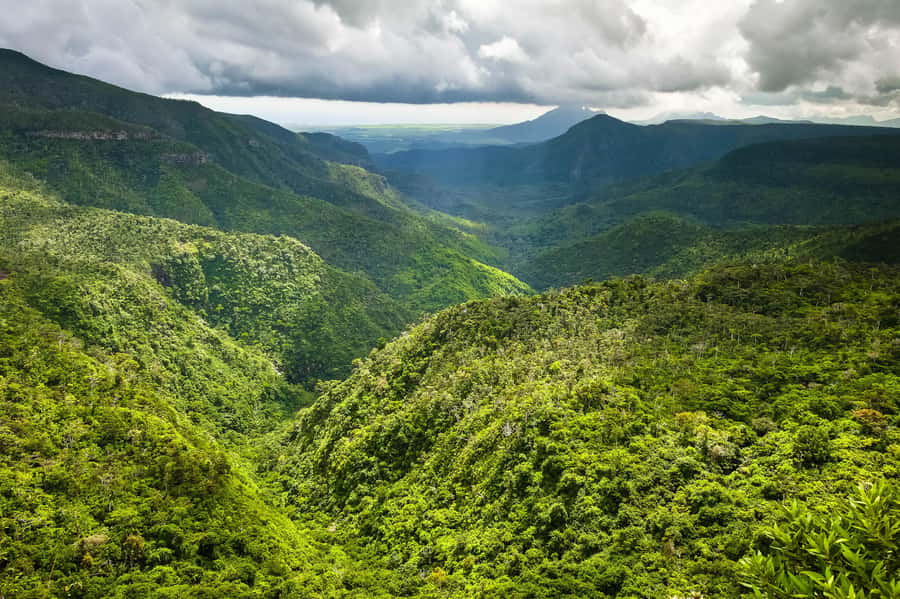 Mauritius: Exclusive South West Tour - Practical details before you reserve