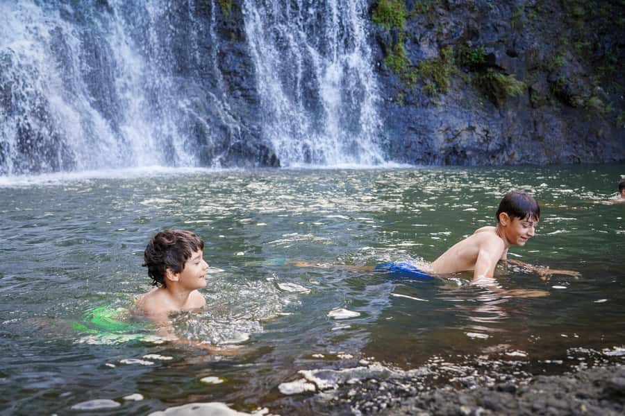 Mauritius: Exploring the Tamarind Falls with a Guide - Through rainforest and across the river