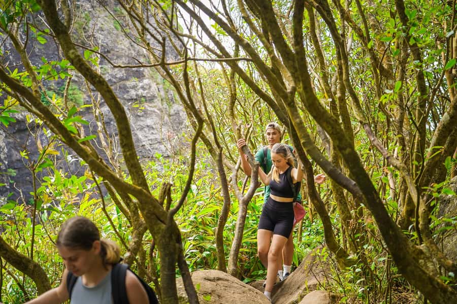 Mauritius: Exploring the Tamarind Falls with a Guide - What the guide adds for $55