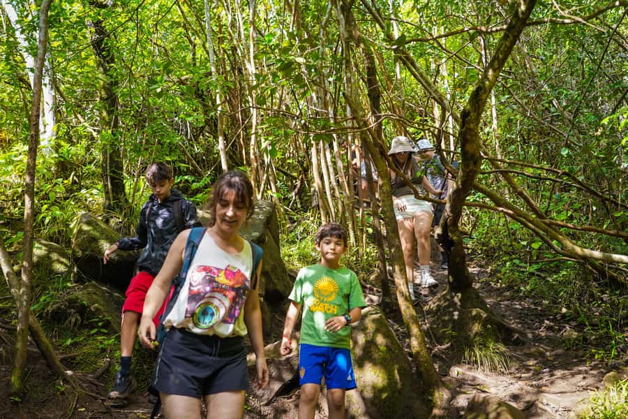 Mauritius: Exploring the Tamarind Falls with a Guide - Fitness, safety, and what to pack