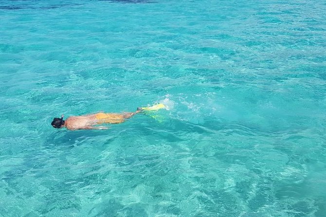 Mauritius : Full day All inclusive Ile aux cerfs Catamaran cruise - The Return Sail and Possible Dolphin Sightings