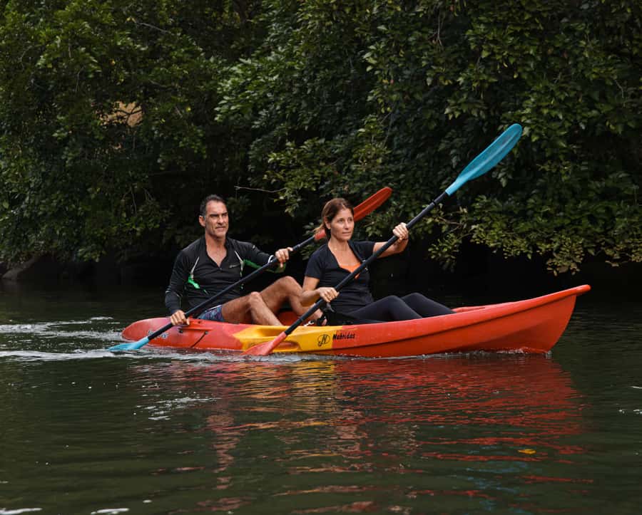 Mauritius: Guided Kayak Tour on Tamarin River - Mangroves, monkeys, and the luck of wildlife