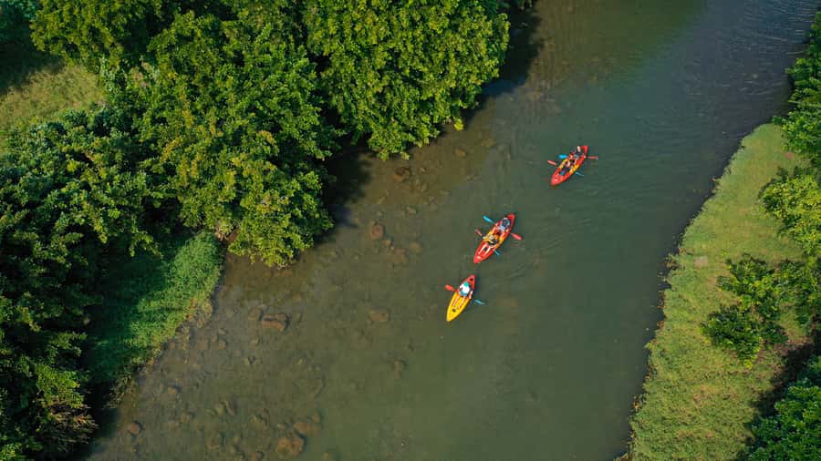Mauritius: Guided Kayak Tour on Tamarin River - What the 90-minute timing really means