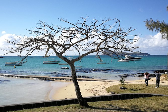 Mauritius Guided North Tour (Private) - Sugar, rum, and island identity at L’Aventure du Sucre