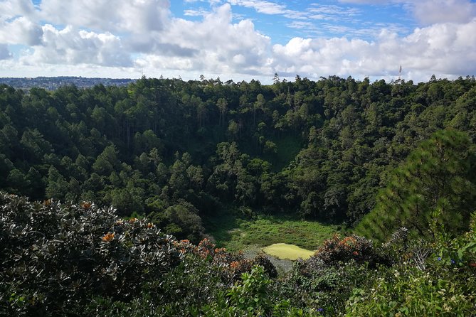 Mauritius Guided South Tour (Private) - Why this private south Mauritius tour works