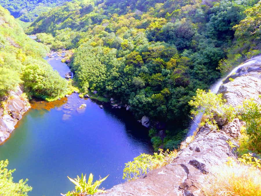Mauritius: Guided Tamarind Falls Hike with Hotel Transfers - Entering the Tamarind Falls forest