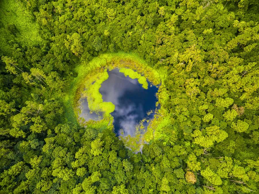 Mauritius: Guided Trip to the Southwest with Safari Tour - Why this private southwest tour works