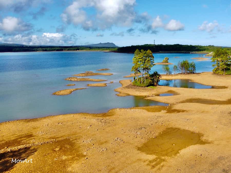 Mauritius: Guided Trip to the Southwest with Safari Tour - Alexandra Falls and the Black River views