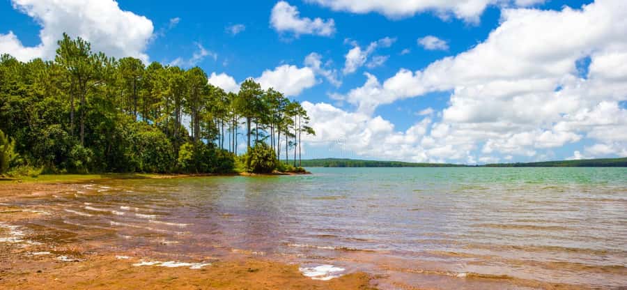 Mauritius: Guided Trip to the Southwest with Safari Tour - Chamarel from above, then a three-course lunch