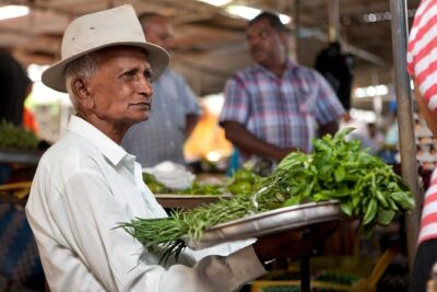 Mauritius Half Day City Tour(All Region)