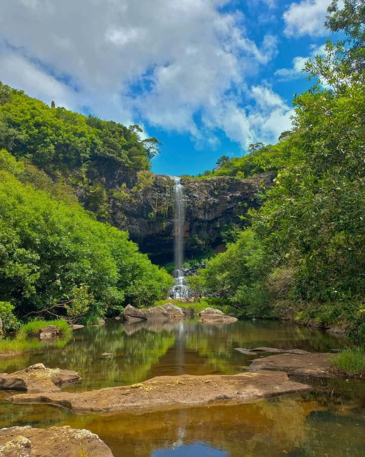 Mauritius Hiking 7 waterfalls Trip with Ganga Talao & Lunch - Hiking five waterfalls with a local guide