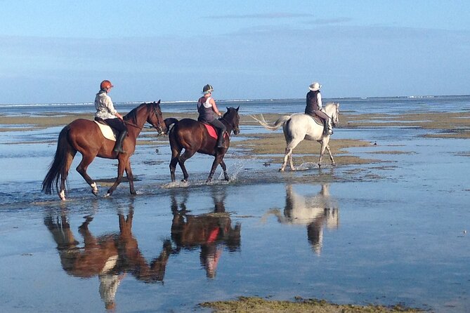 Mauritius Horse Riding at Riambel - What the private format changes