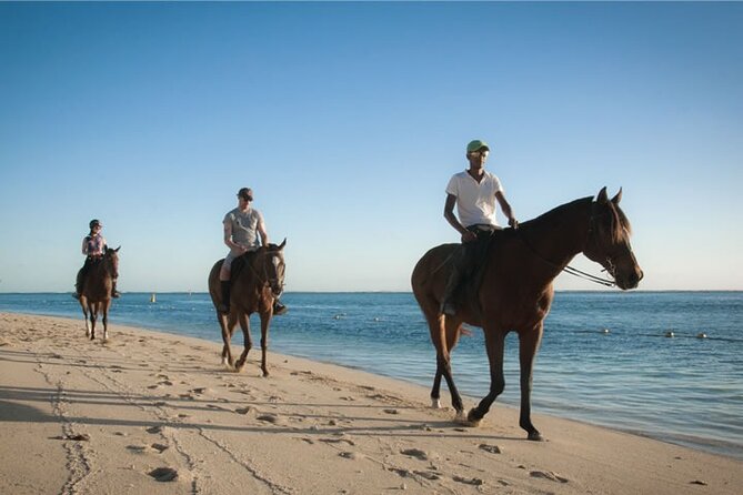 Mauritius Horse Riding at Riambel - Choosing a daytime or sunset departure